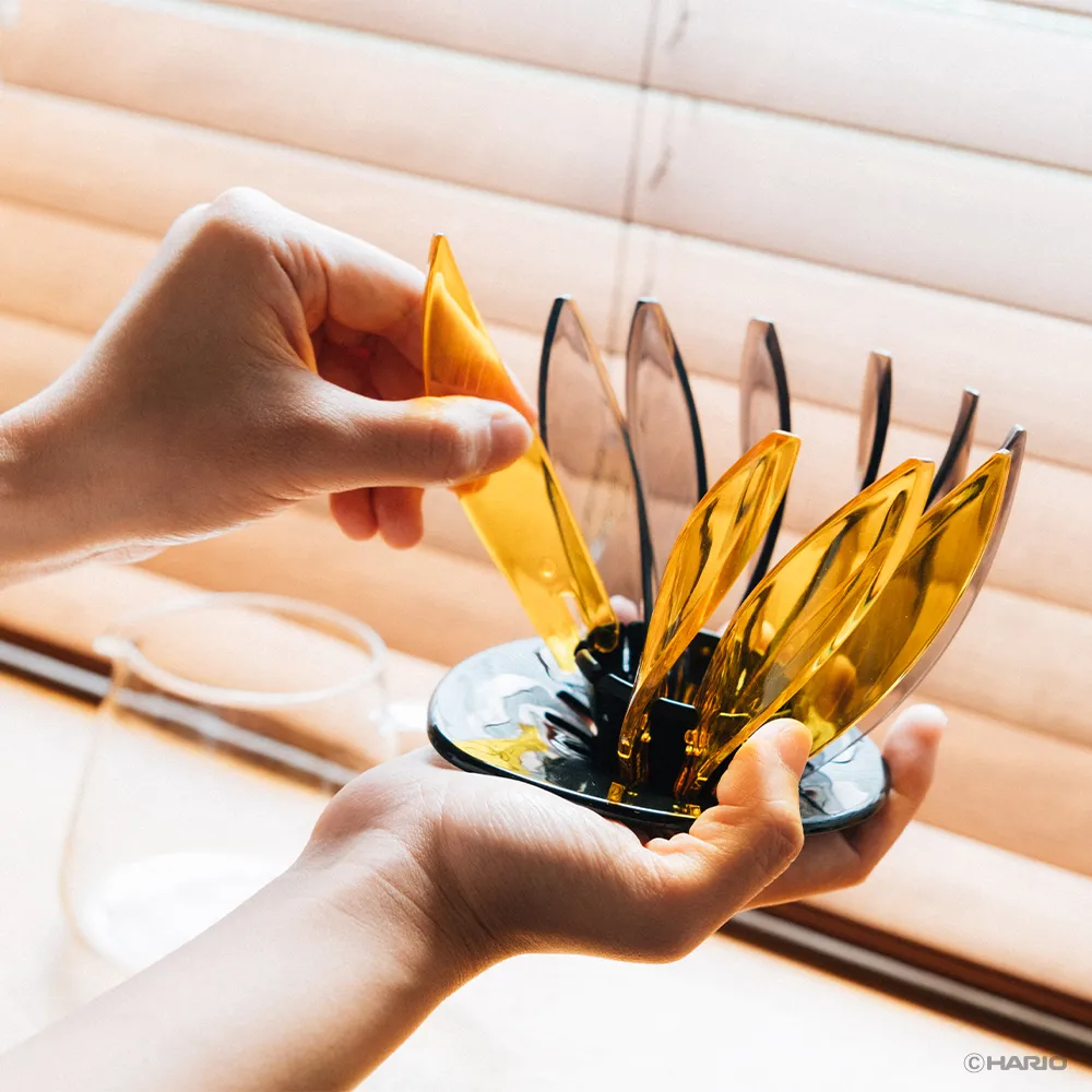 Hario V60 SUIREN Rib 6-piece Set - Image 2